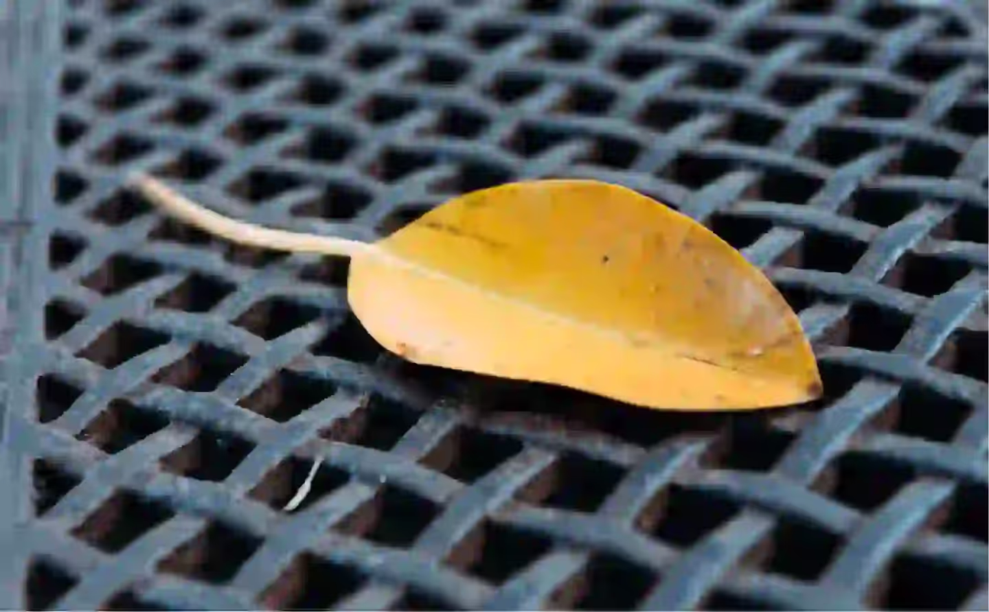 The Day I Learned Gutters Actually Matter